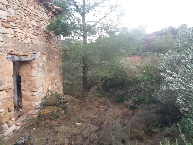 Finca/Country House for sale in Ascó - € 15,000 (Ref: 6089780)