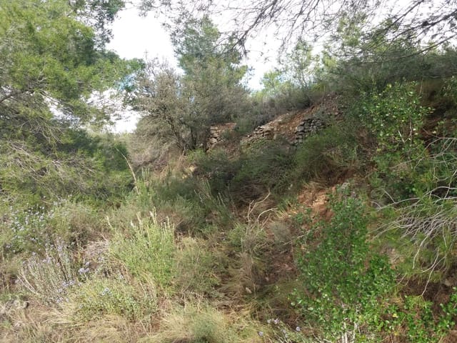 Finca/Country House for sale in Ascó - € 15,000 (Ref: 6089780)