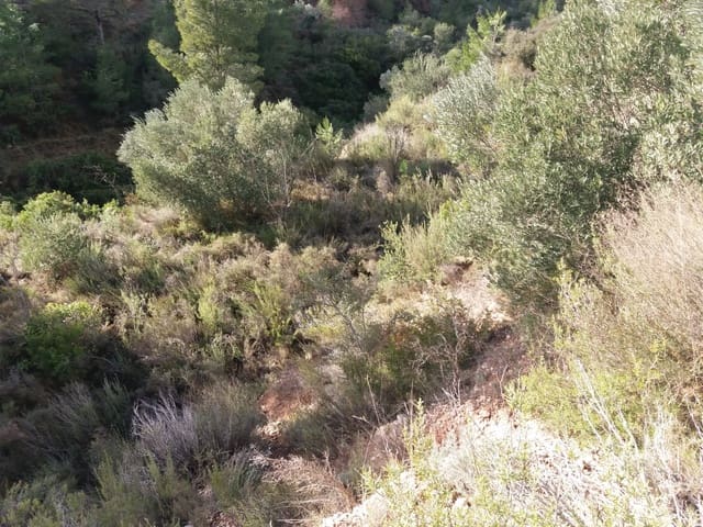 Finca/Country House for sale in Ascó - € 15,000 (Ref: 6089780)