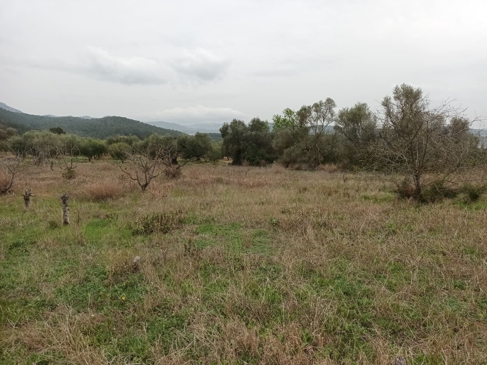 Finca/Landehus til salg i Rasquera - € 32.000 (Ref: 6781323)