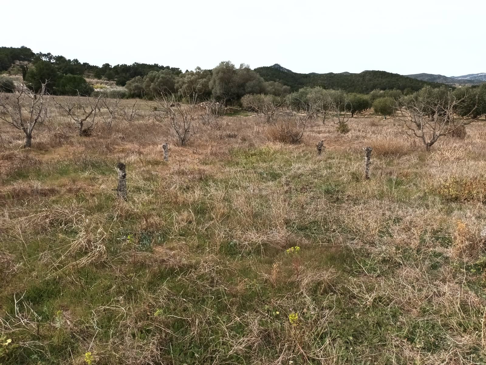 Finca/Landehus til salg i Rasquera - € 32.000 (Ref: 6781323)