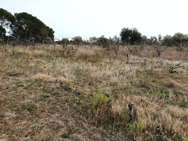 Finca/Landehus til salg i Rasquera - € 32.000 (Ref: 6781323)