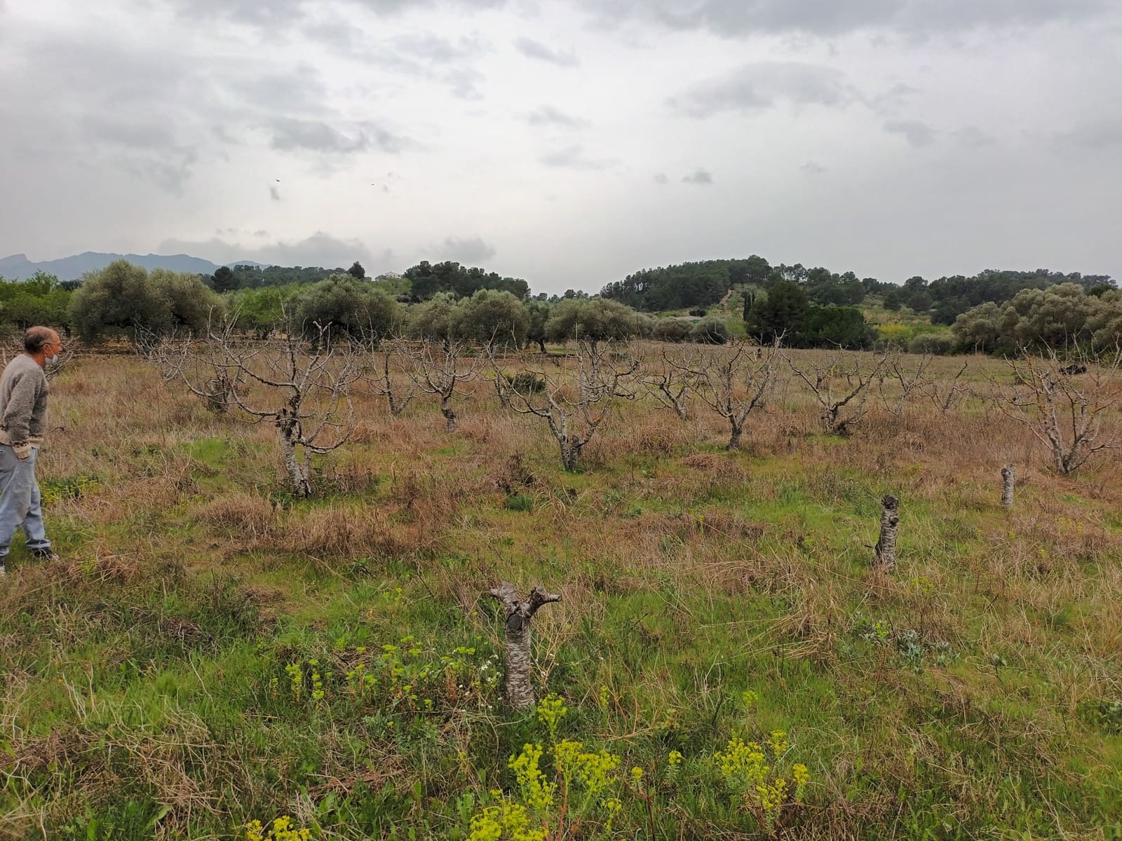 Finca/Landehus til salg i Rasquera - € 32.000 (Ref: 6781323)