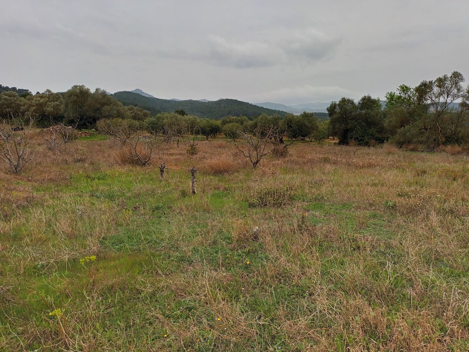 Finca/Landehus til salg i Rasquera - € 32.000 (Ref: 6781323)