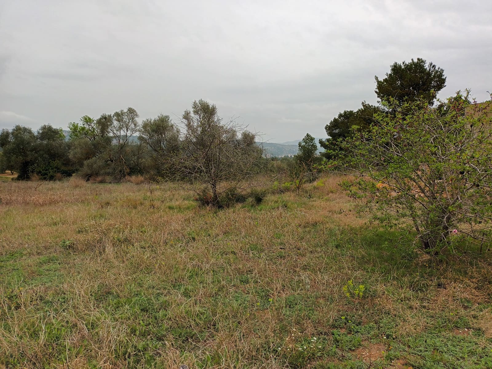 Finca/Landehus til salg i Rasquera - € 32.000 (Ref: 6781323)