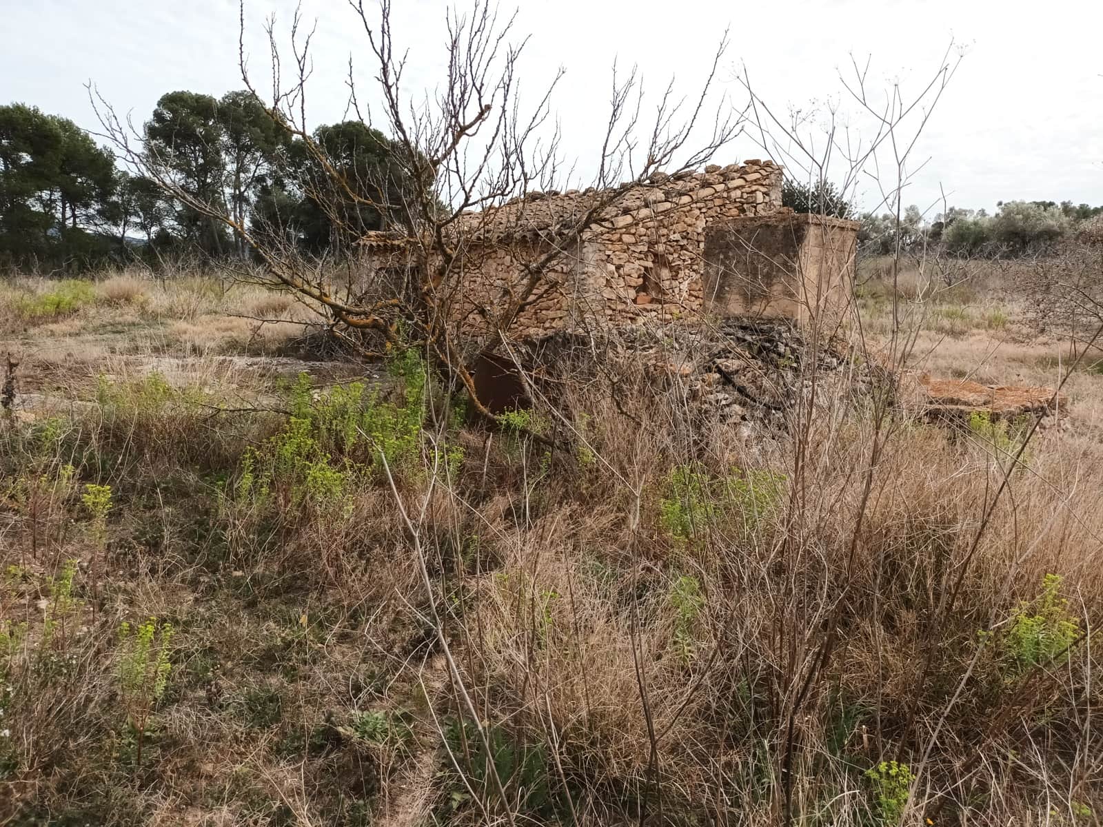 Finca/Landehus til salg i Rasquera - € 32.000 (Ref: 6781323)