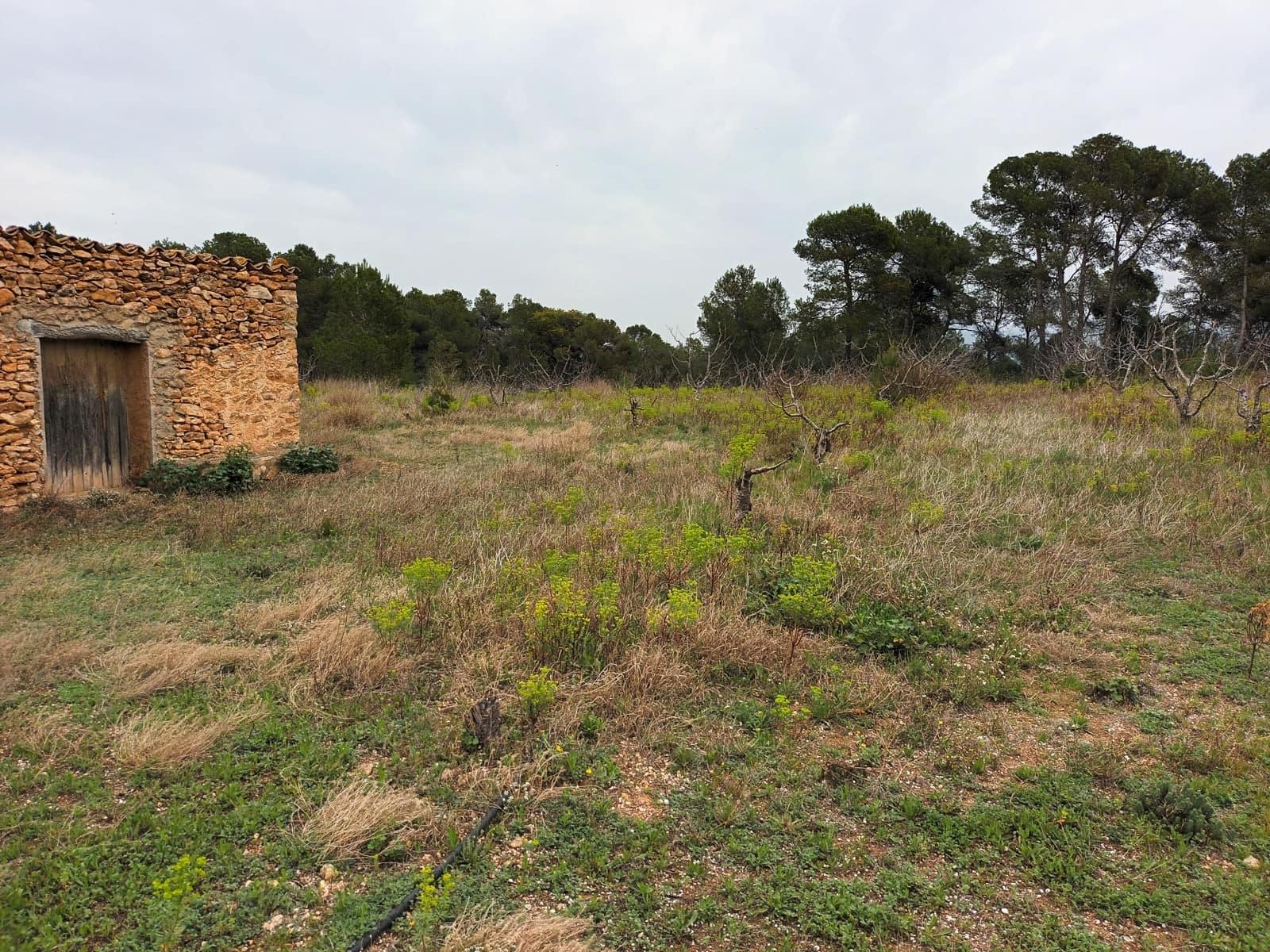 Finca/Landehus til salg i Rasquera - € 32.000 (Ref: 6781323)