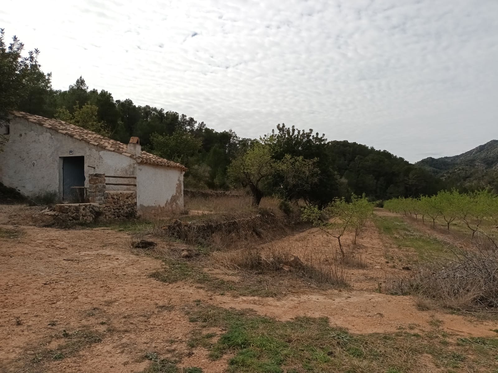 Finca/Landehus til salg i Rasquera - € 70.000 (Ref: 6783436)