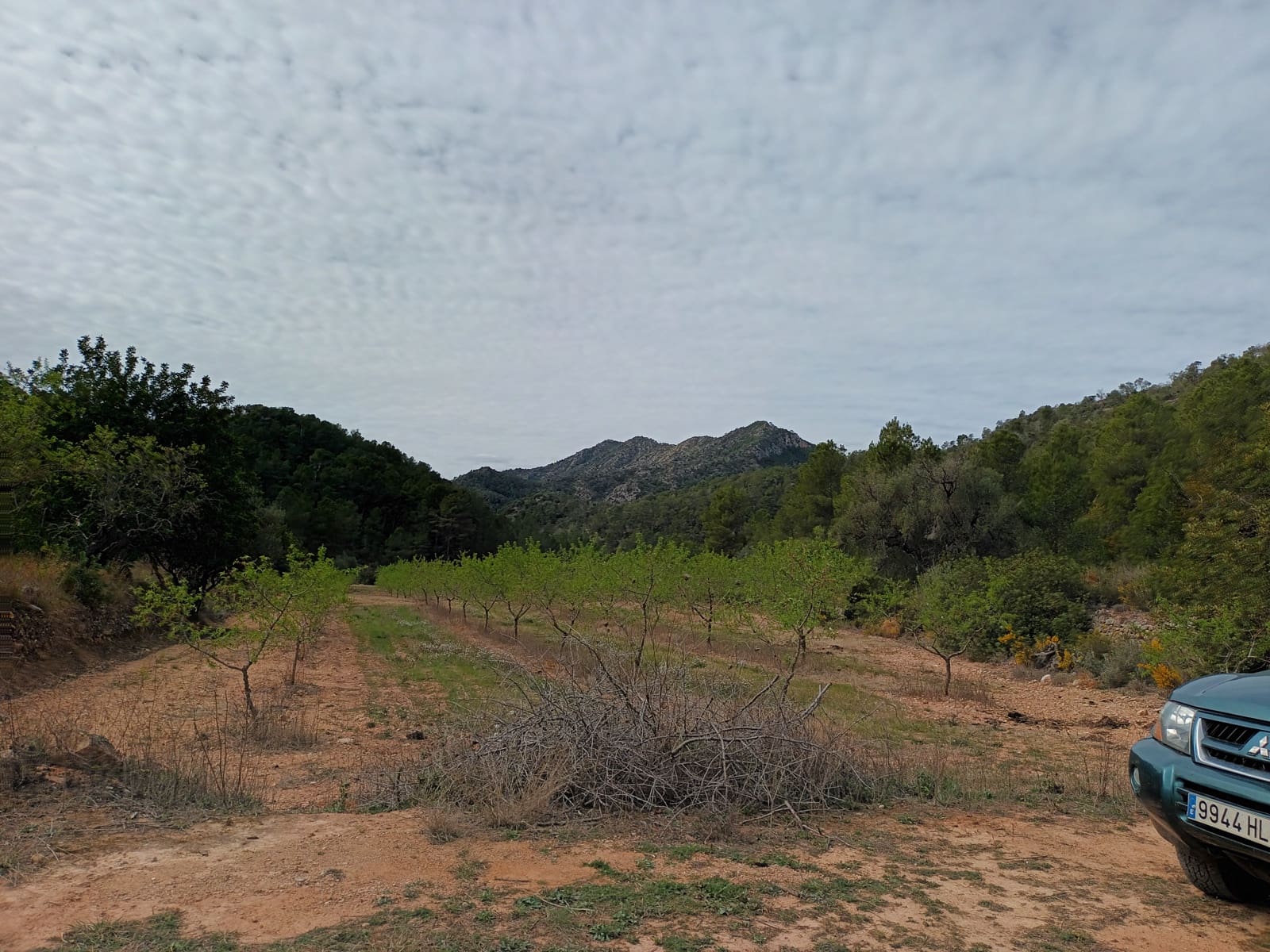 Finca/Landehus til salg i Rasquera - € 70.000 (Ref: 6783436)