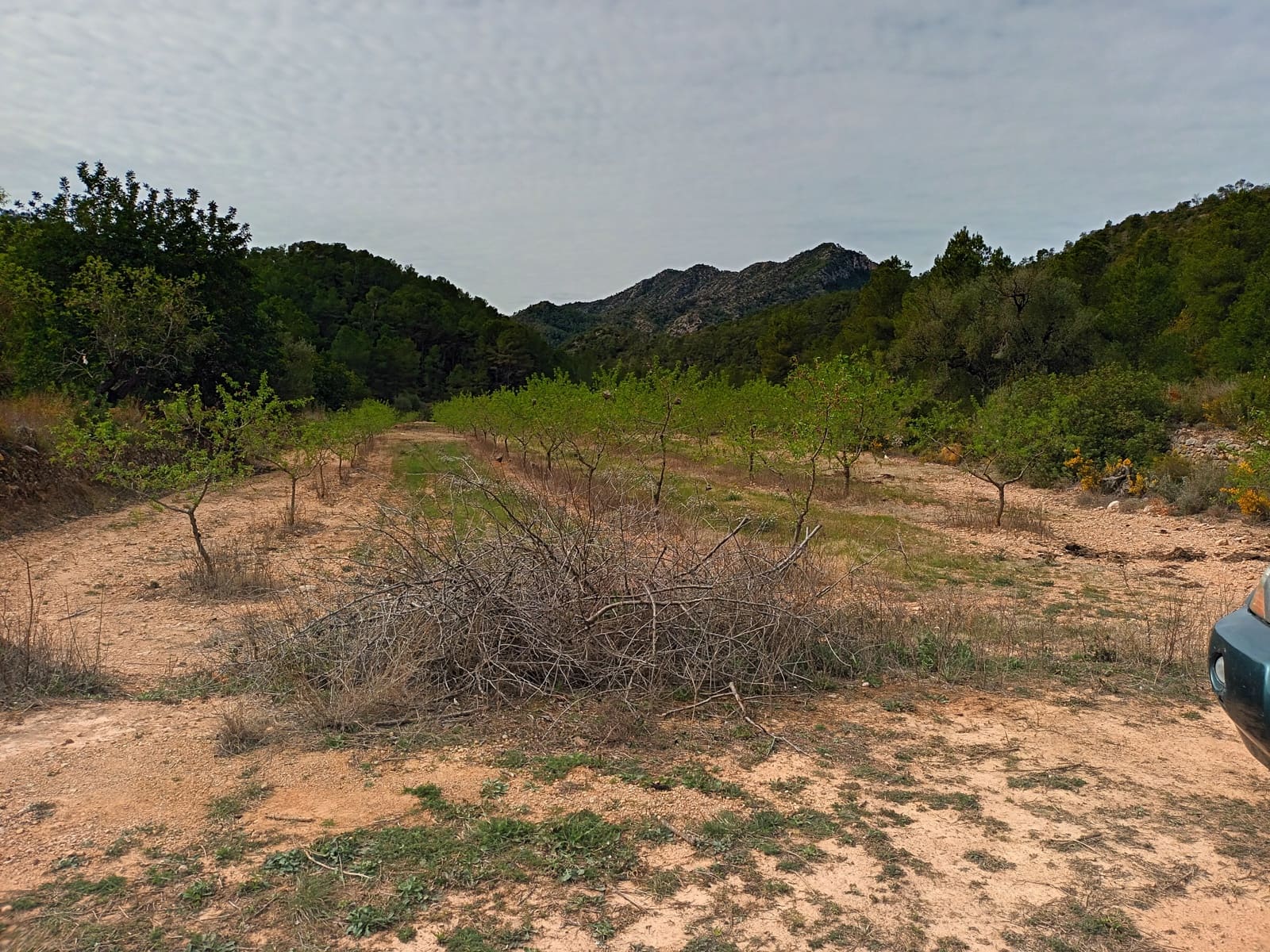 Finca/Landehus til salg i Rasquera - € 70.000 (Ref: 6783436)