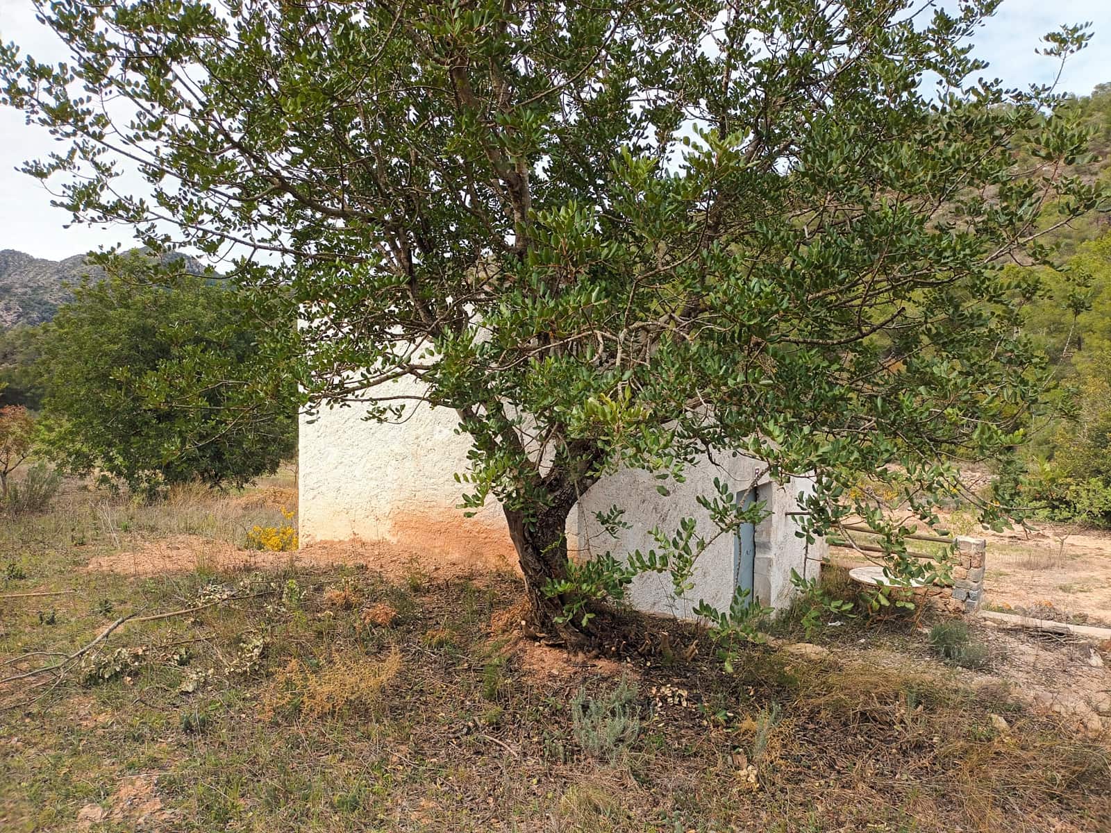 Finca/Landehus til salg i Rasquera - € 70.000 (Ref: 6783436)