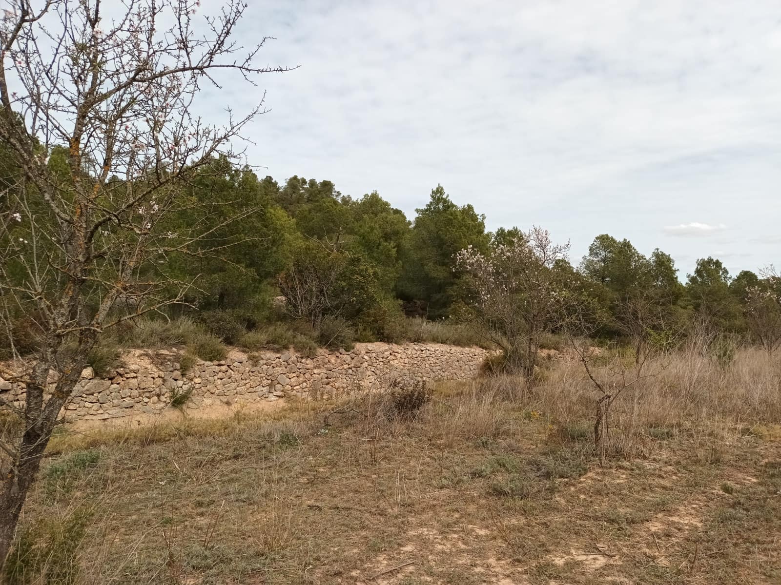 Finca/Landehus til salg i Rasquera - € 70.000 (Ref: 6783436)