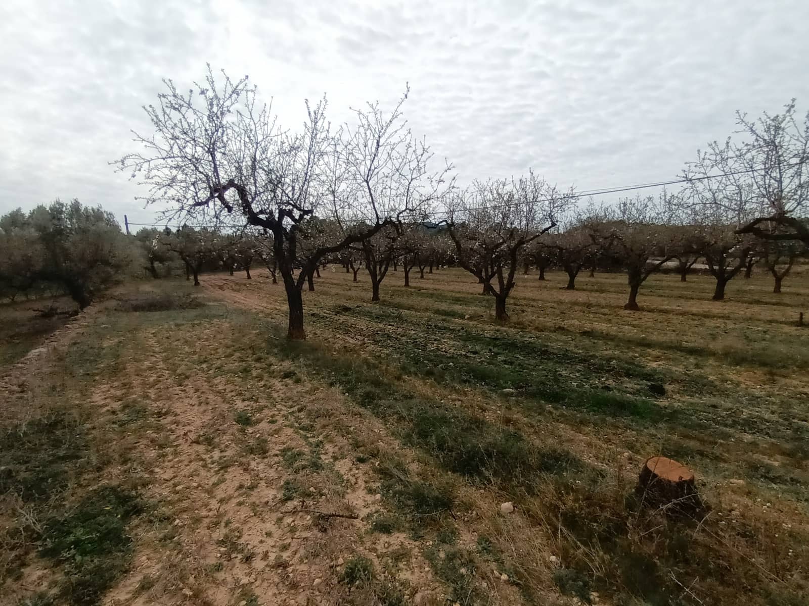 Finca/Landehus til salg i Rasquera - € 30.000 (Ref: 6783783)