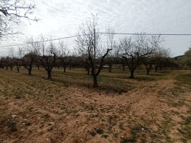 Finca/Landehus til salg i Rasquera - € 30.000 (Ref: 6783783)