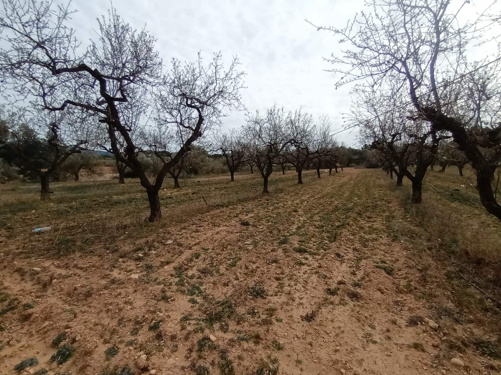 Finca/Landehus til salg i Rasquera - € 30.000 (Ref: 6783783)