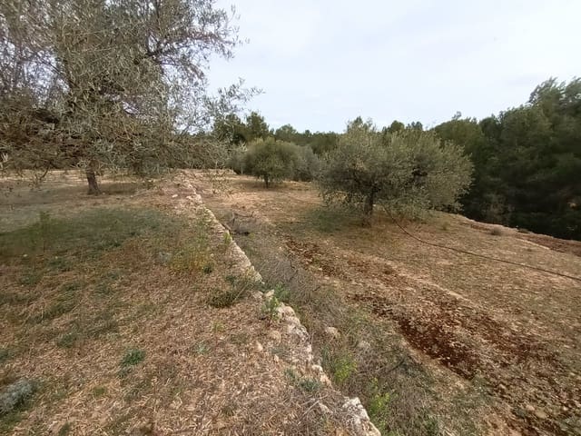 Finca/Landehus til salg i Rasquera - € 30.000 (Ref: 6783783)