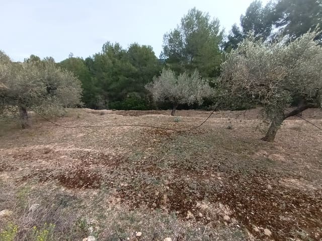 Finca/Landehus til salg i Rasquera - € 30.000 (Ref: 6783783)