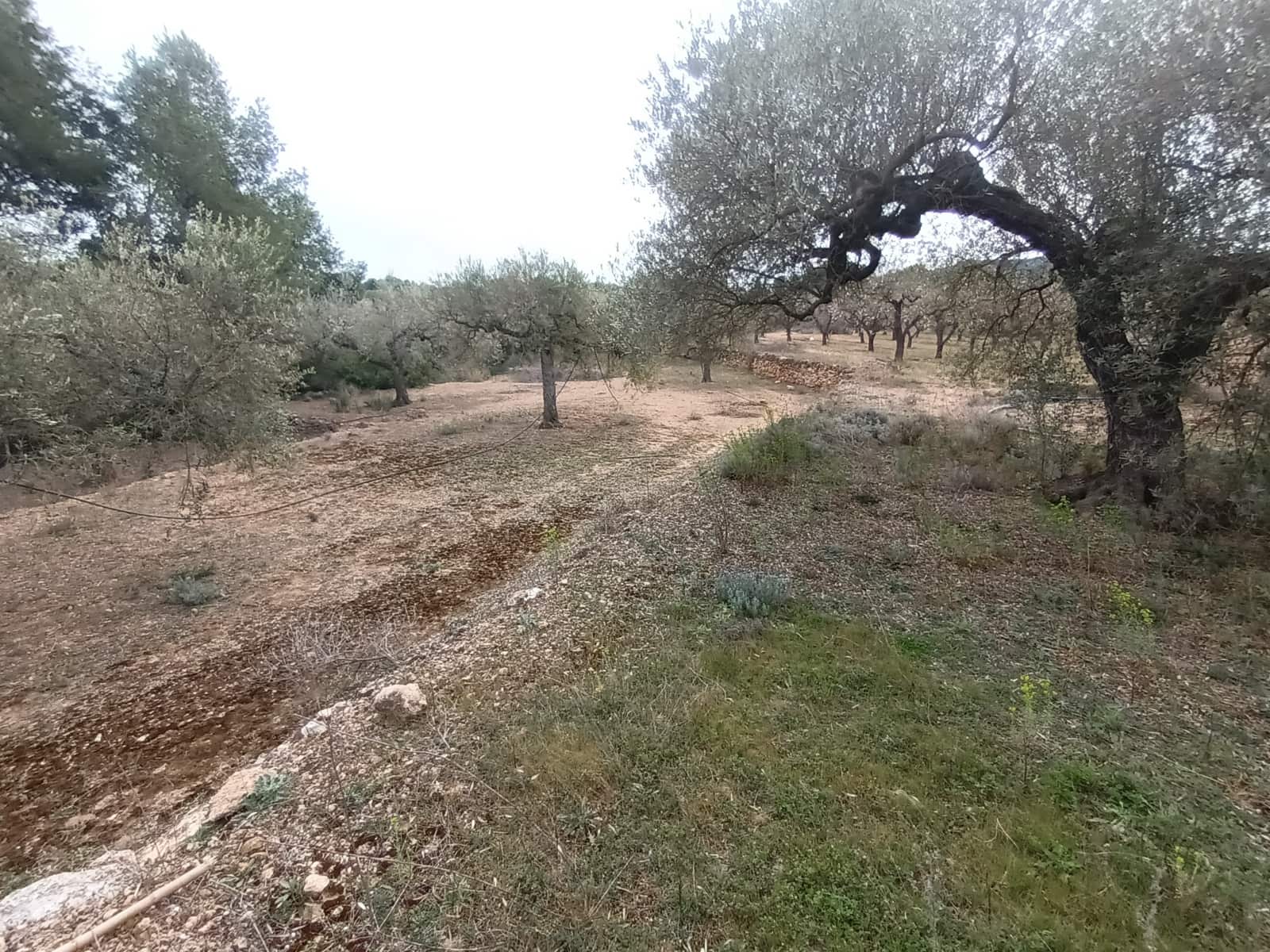 Finca/Landehus til salg i Rasquera - € 30.000 (Ref: 6783783)