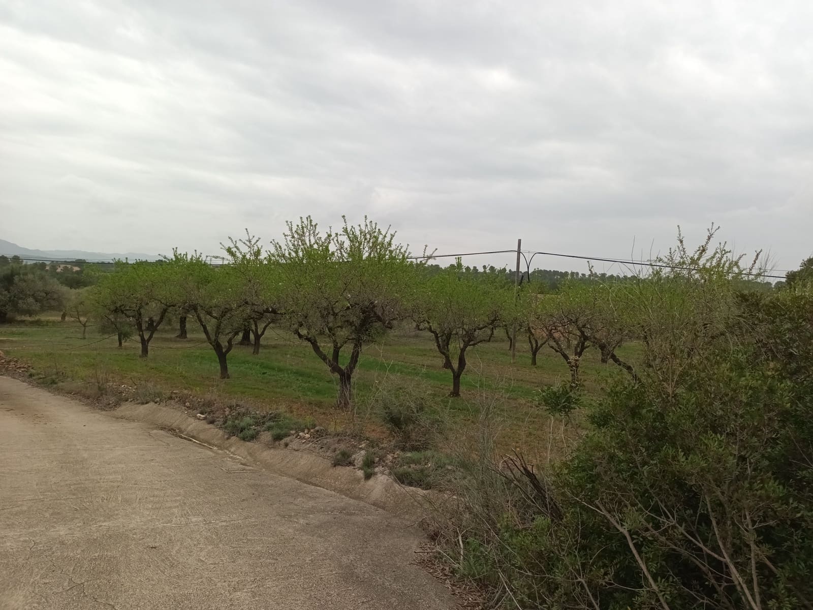 Finca/Landehus til salg i Rasquera - € 30.000 (Ref: 6783783)