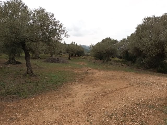 Finca/Landehus til salg i Rasquera - € 30.000 (Ref: 6783783)