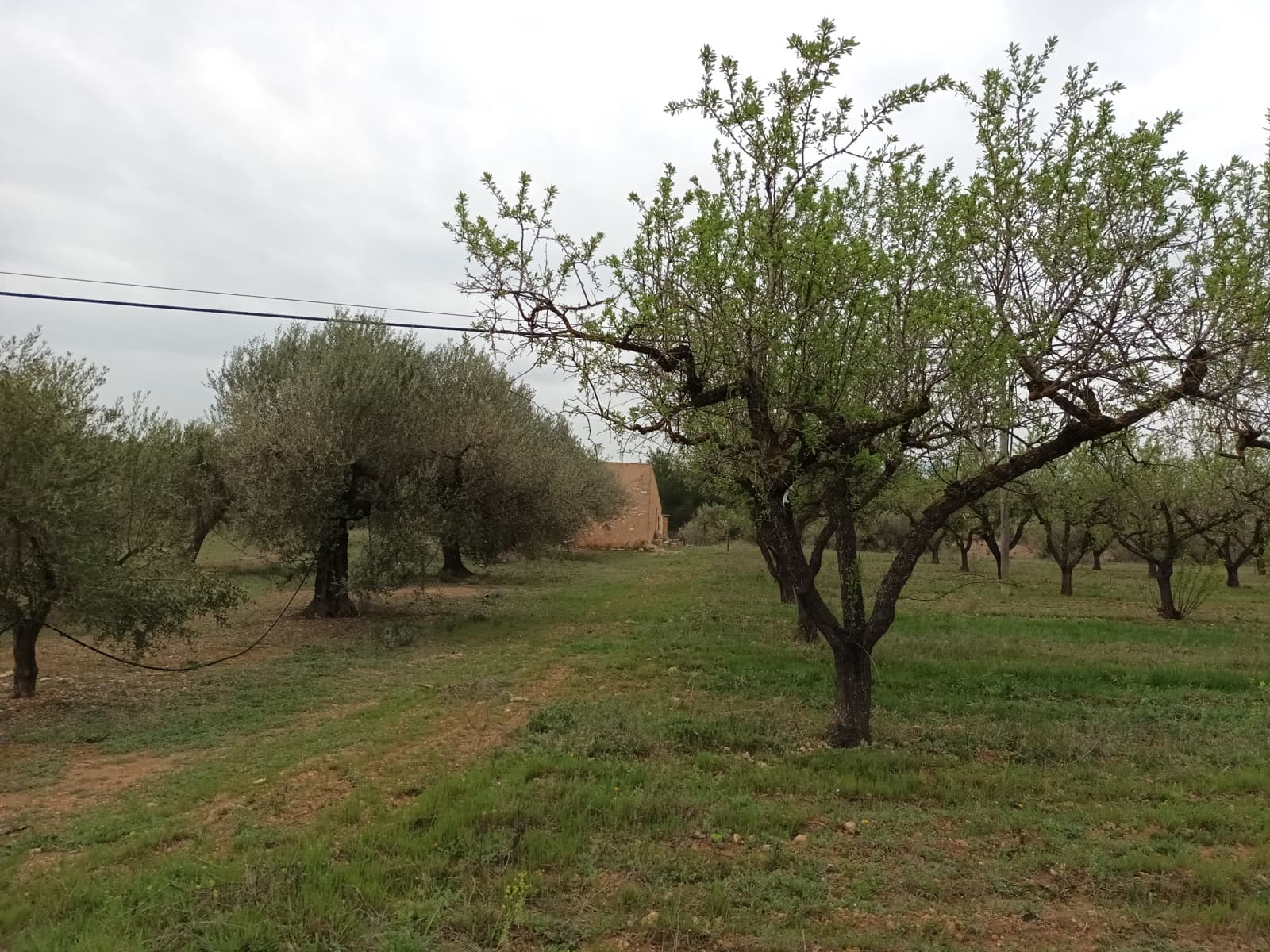 Finca/Landehus til salg i Rasquera - € 30.000 (Ref: 6783783)