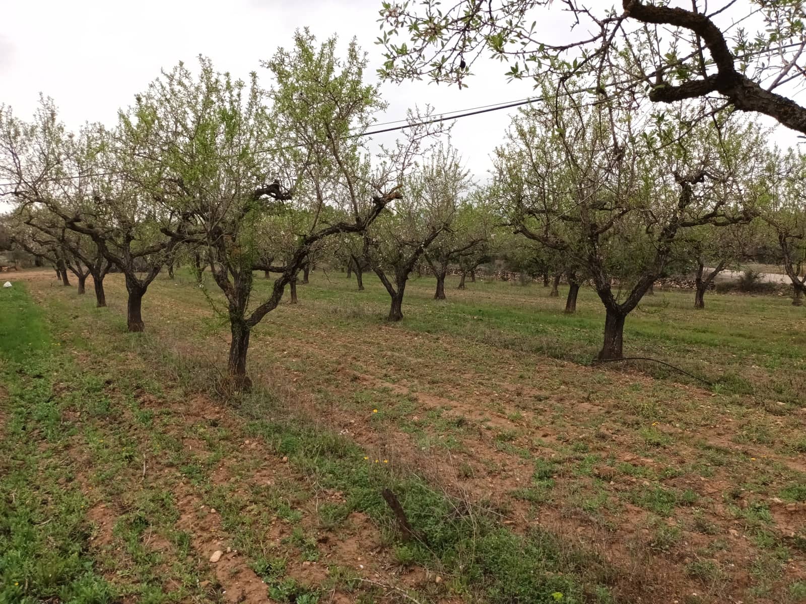 Finca/Landehus til salg i Rasquera - € 30.000 (Ref: 6783783)