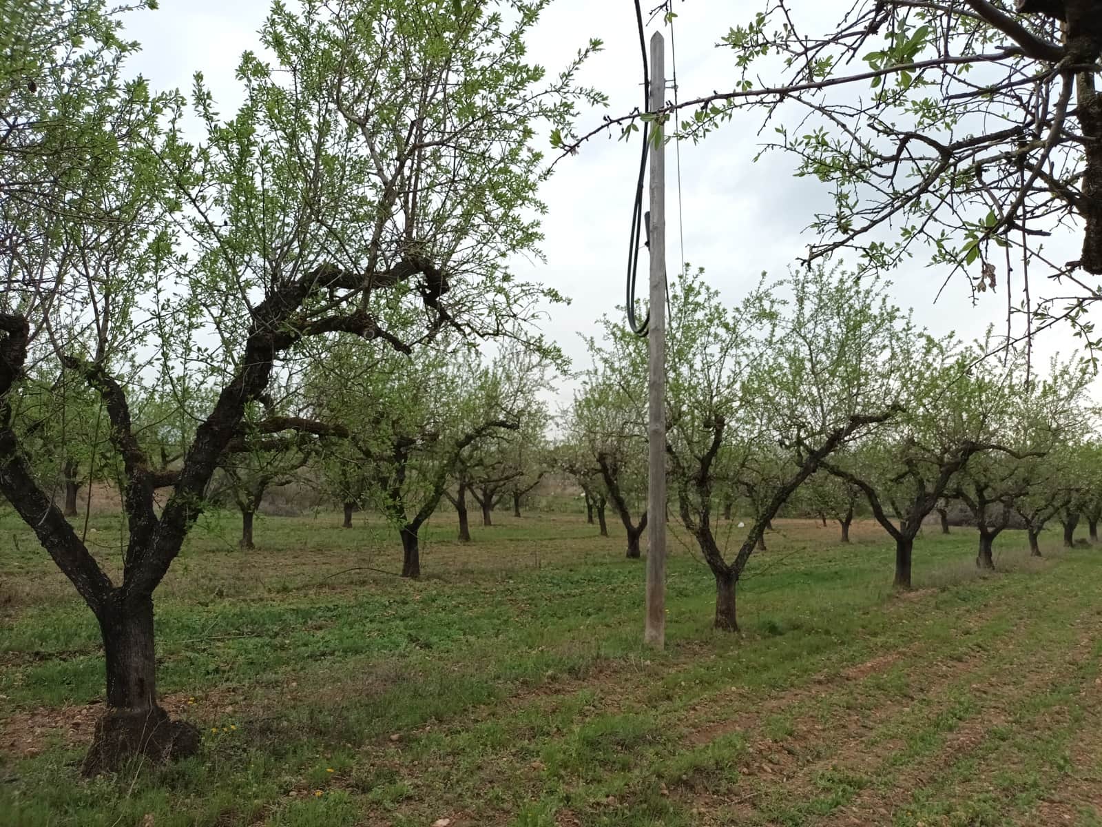 Finca/Landehus til salg i Rasquera - € 30.000 (Ref: 6783783)