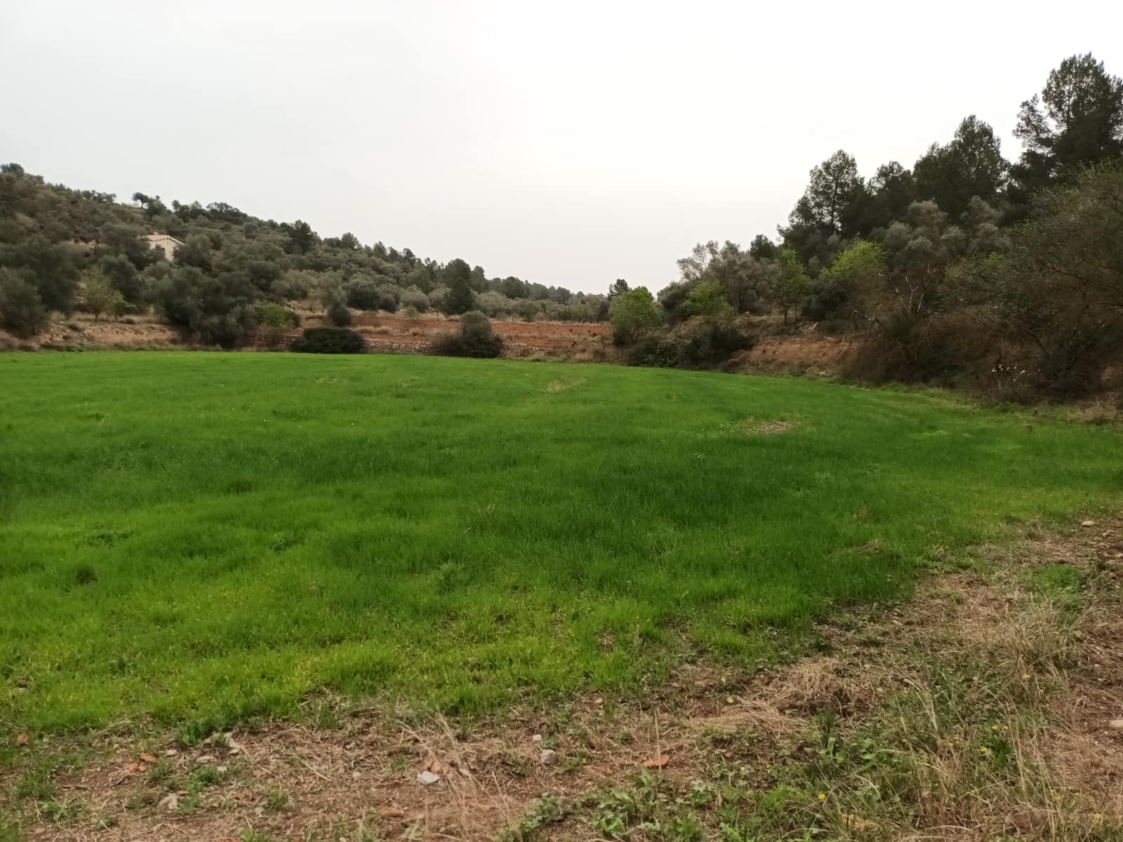 Finca/Landehus til salg i Mora la Nova - € 75.000 (Ref: 6783784)