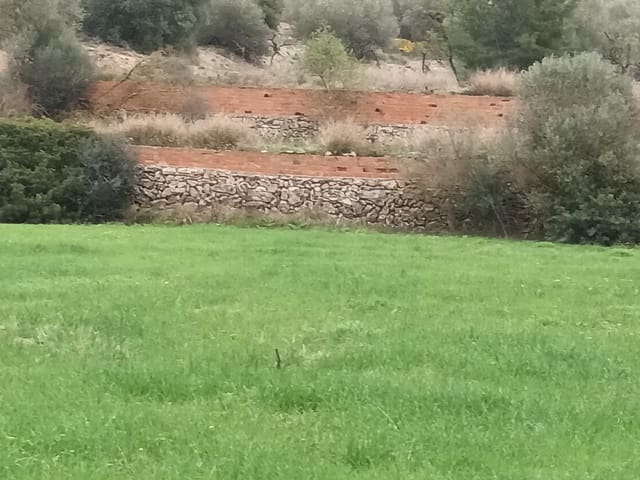 Finca/Landehus til salg i Móra la Nova - € 75.000 (Ref: 6783784)