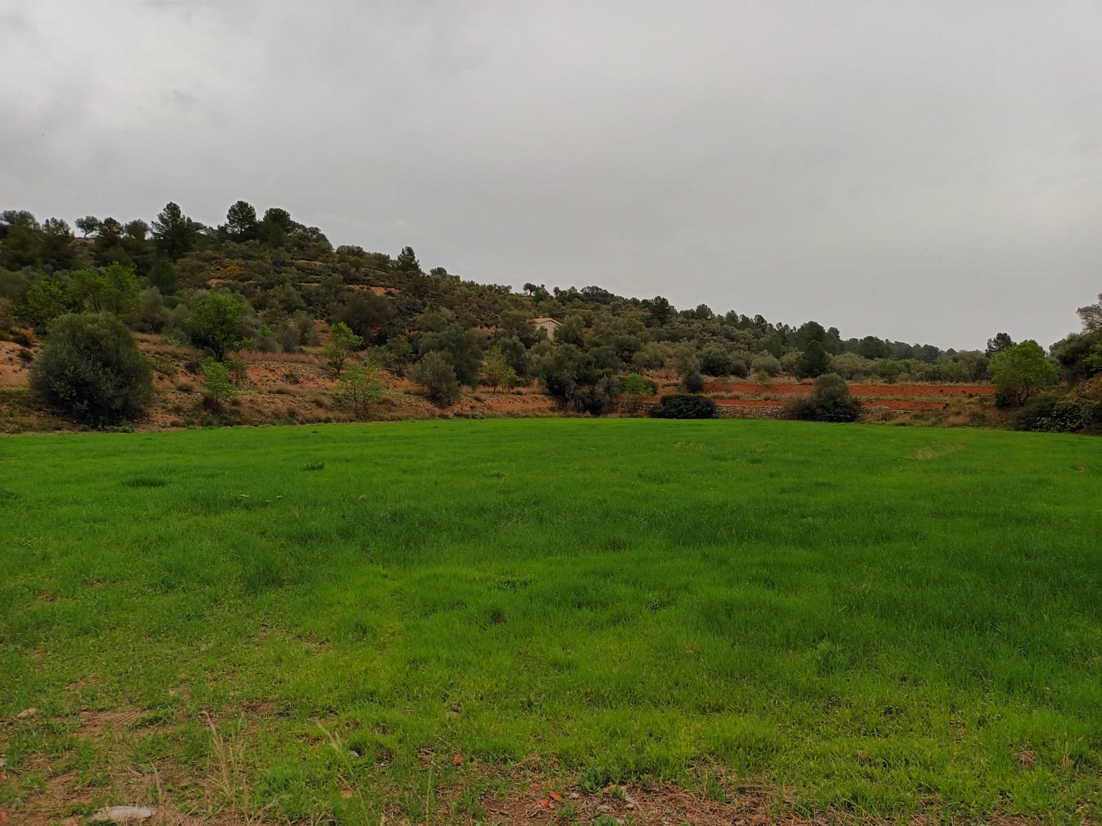 Finca/Landehus til salg i Mora la Nova - € 75.000 (Ref: 6783784)