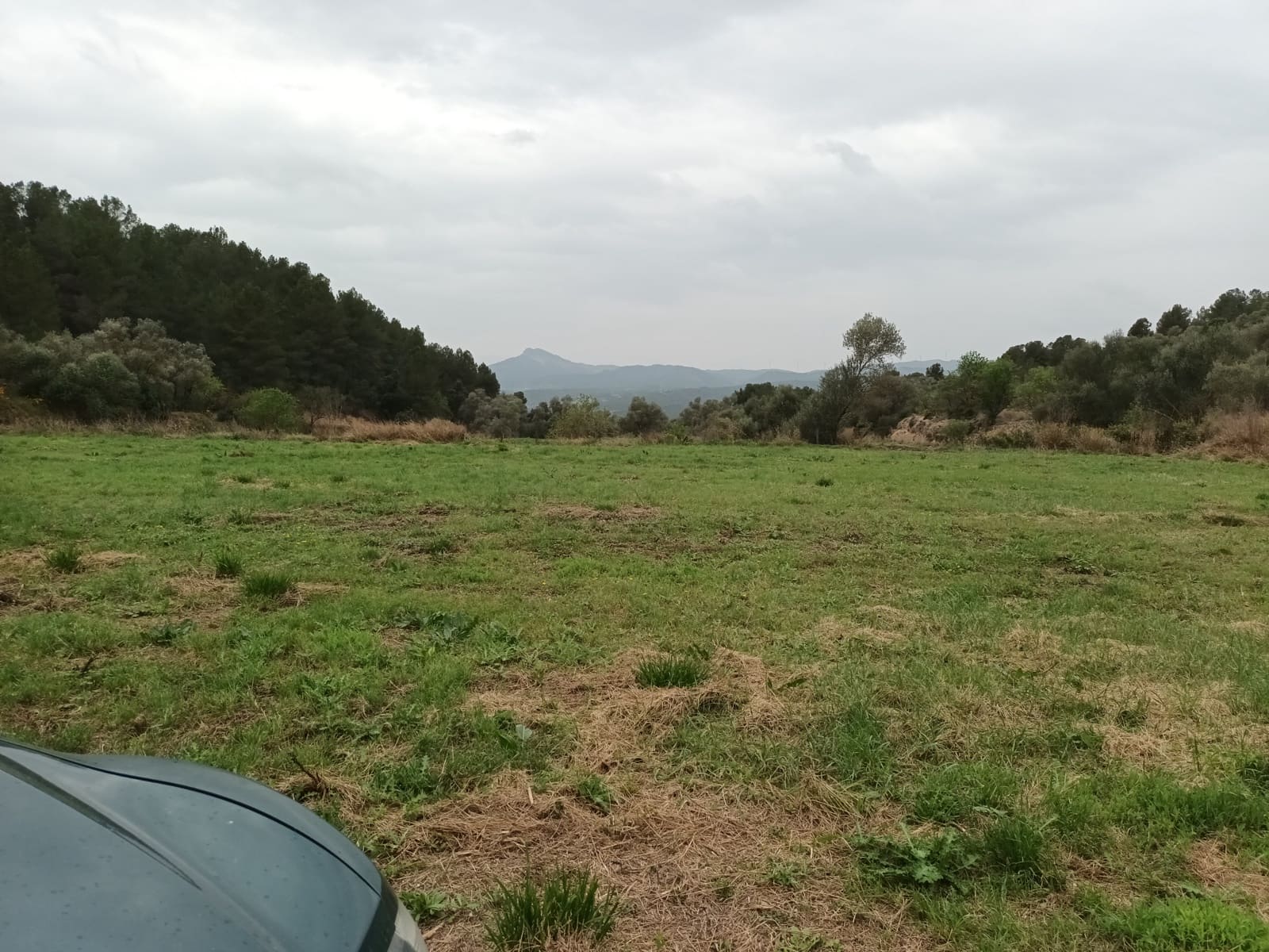 Finca/Landehus til salg i Mora la Nova - € 75.000 (Ref: 6783784)