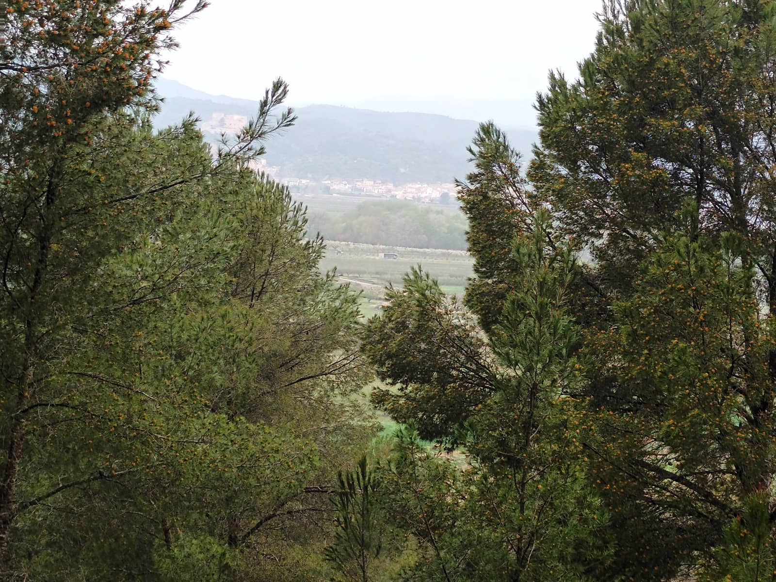 Finca/Landehus til salg i Mora la Nova - € 75.000 (Ref: 6783784)