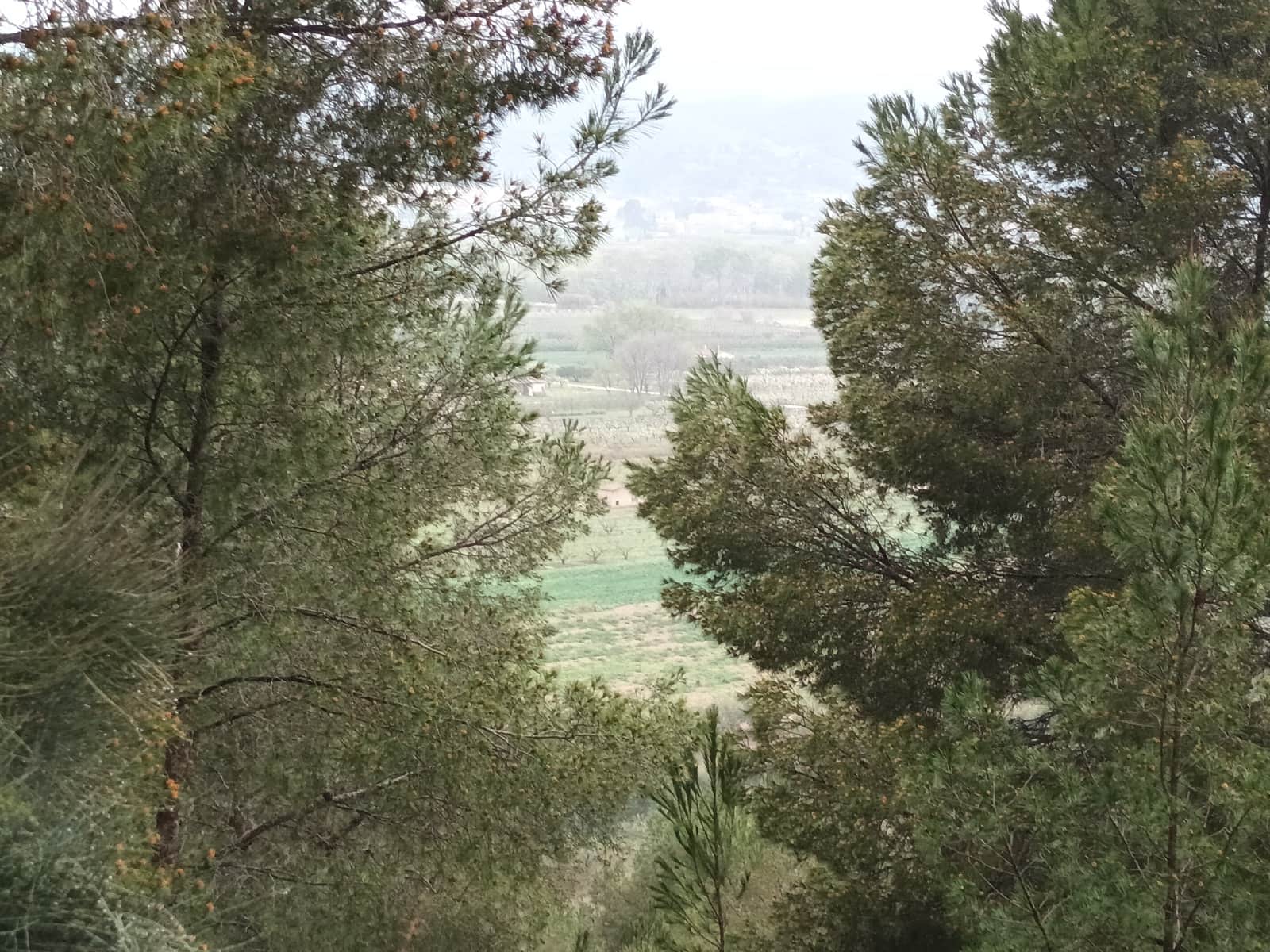 Finca/Landehus til salg i Mora la Nova - € 75.000 (Ref: 6783784)