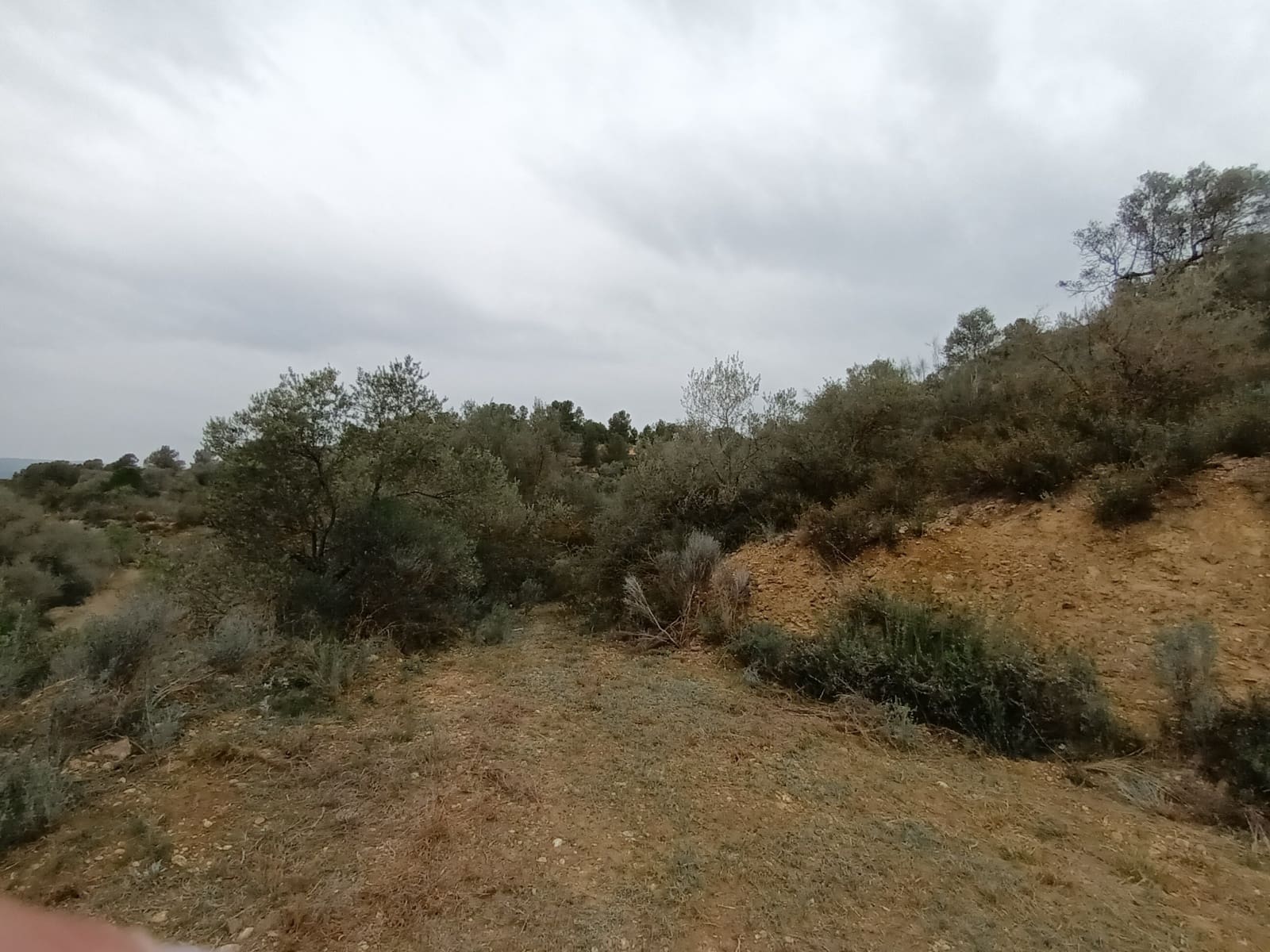 Finca/Landehus til salg i Mora la Nova - € 75.000 (Ref: 6783784)