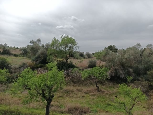 Finca/Landehus til salg i Rasquera - € 70.000 (Ref: 6783786)