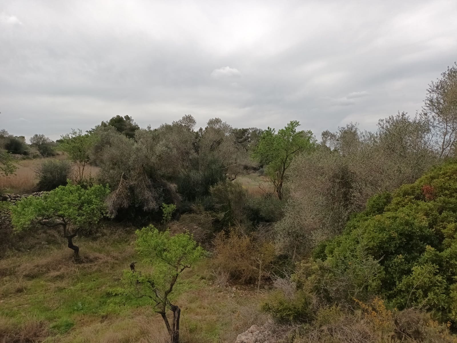 Finca/Landehus til salg i Rasquera - € 70.000 (Ref: 6783786)