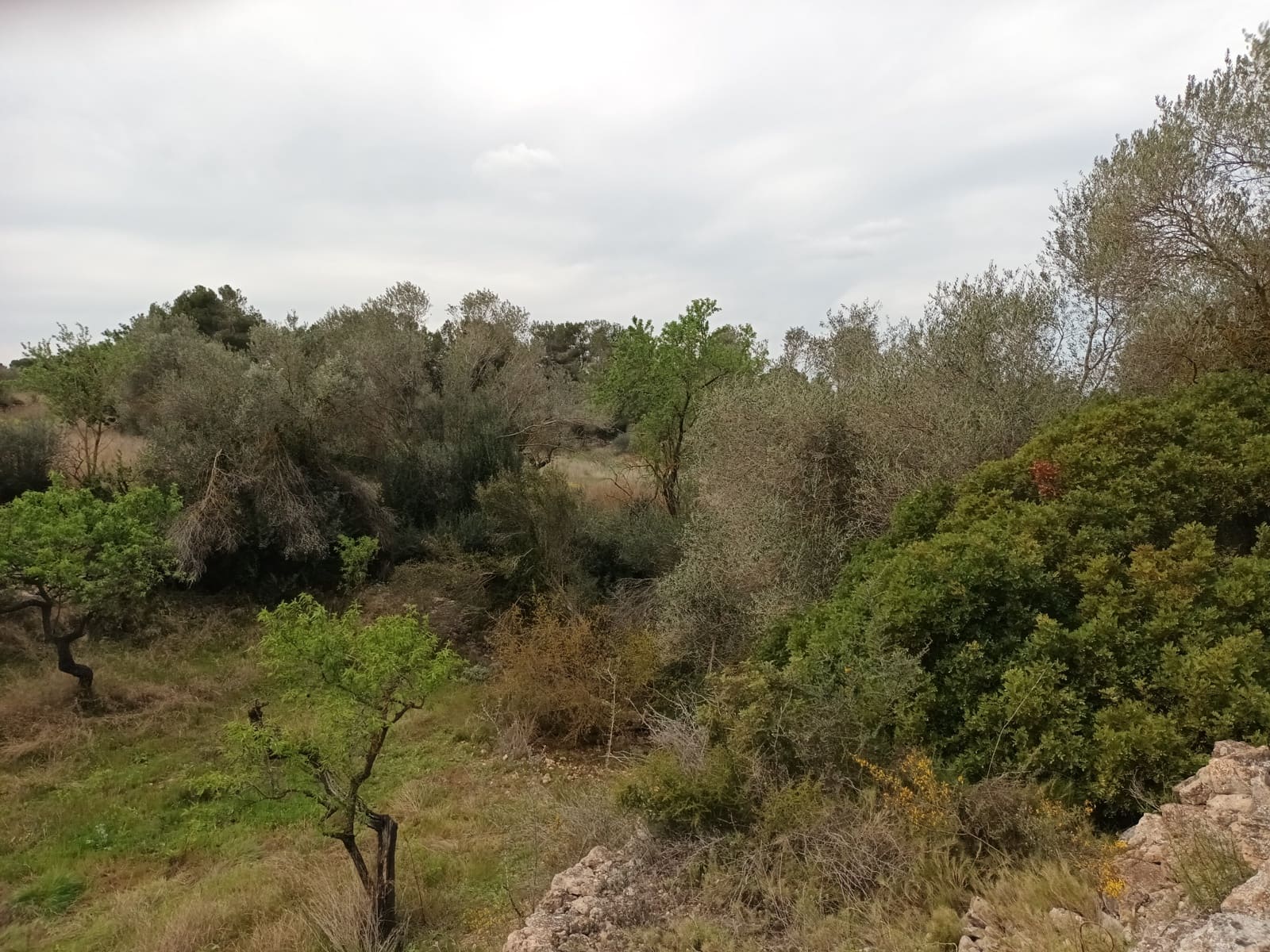 Finca/Landehus til salg i Rasquera - € 70.000 (Ref: 6783786)