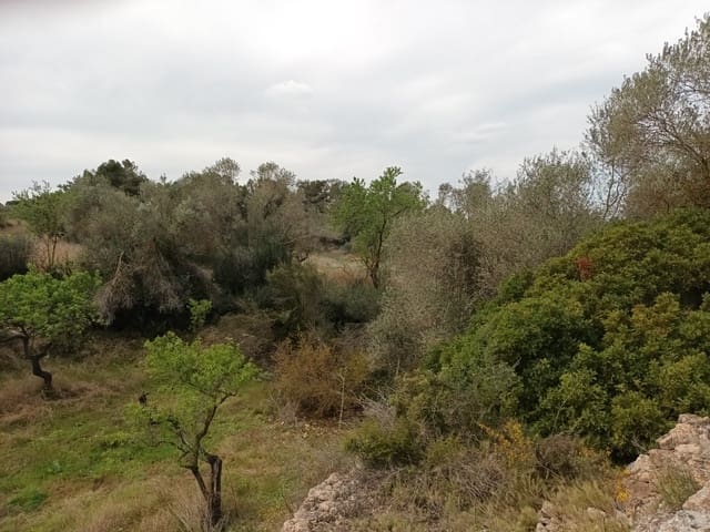 Finca/Landehus til salg i Rasquera - € 70.000 (Ref: 6783786)