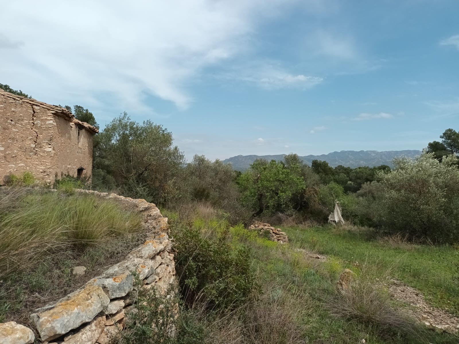 Finca/Landehus til salg i Rasquera - € 70.000 (Ref: 6783786)