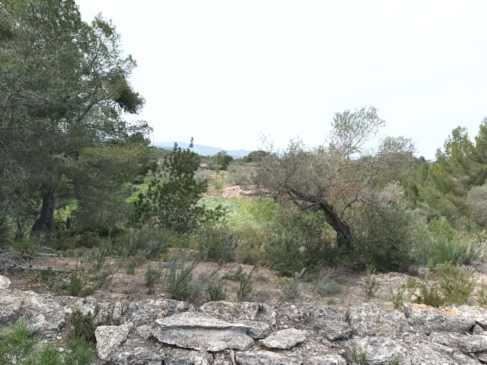 Finca/Landehus til salg i Rasquera - € 70.000 (Ref: 6783786)