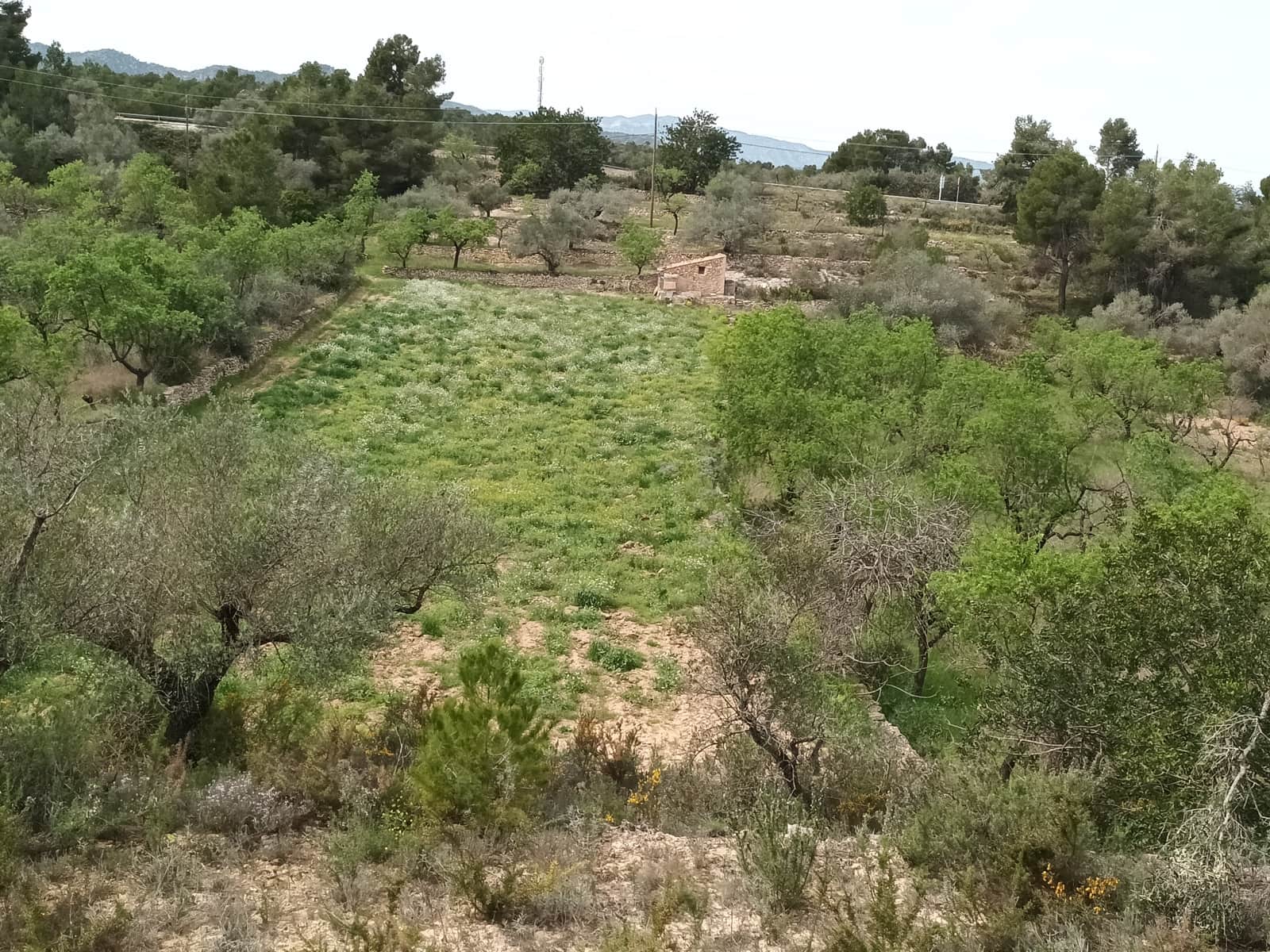 Finca/Landehus til salg i Rasquera - € 70.000 (Ref: 6783786)