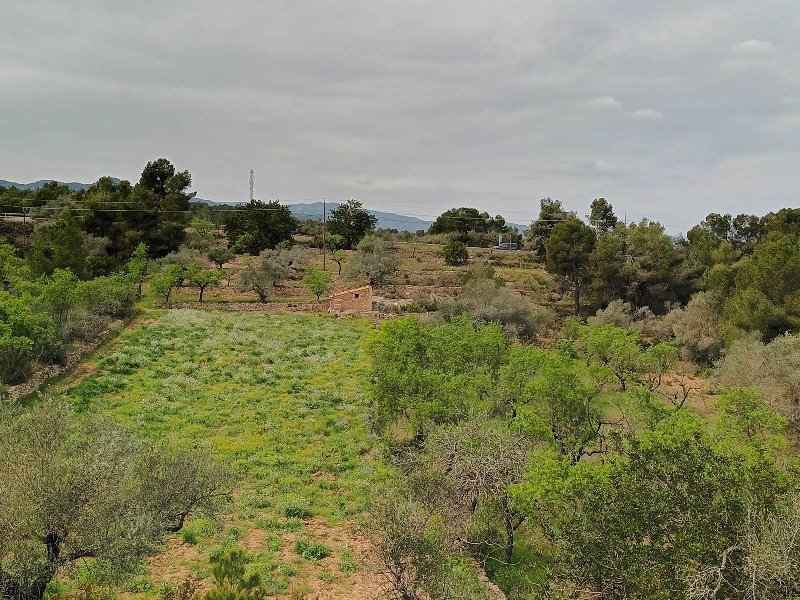 Finca/Landehus til salg i Rasquera - € 70.000 (Ref: 6783786)