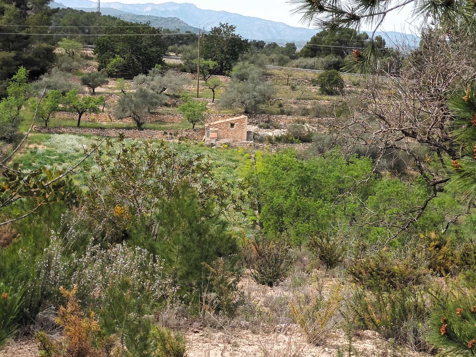 Finca/Landehus til salg i Rasquera - € 70.000 (Ref: 6783786)