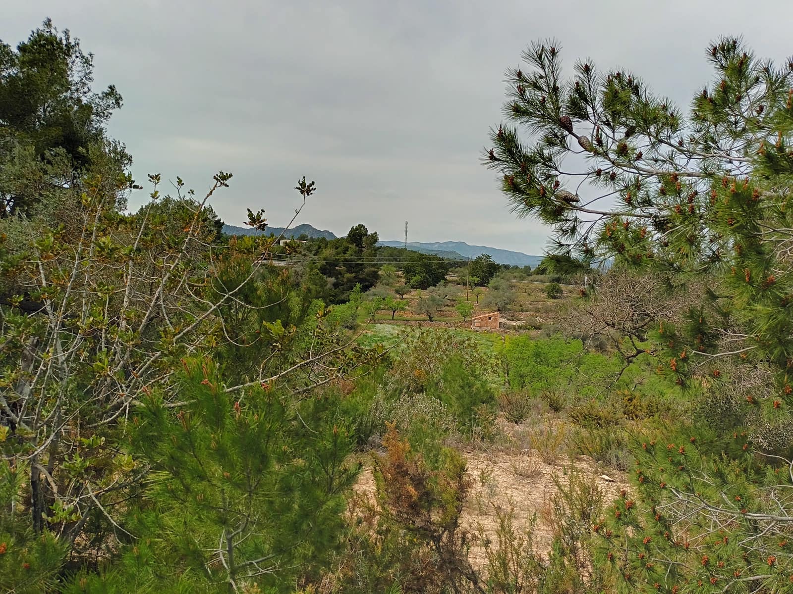 Finca/Landehus til salg i Rasquera - € 70.000 (Ref: 6783786)