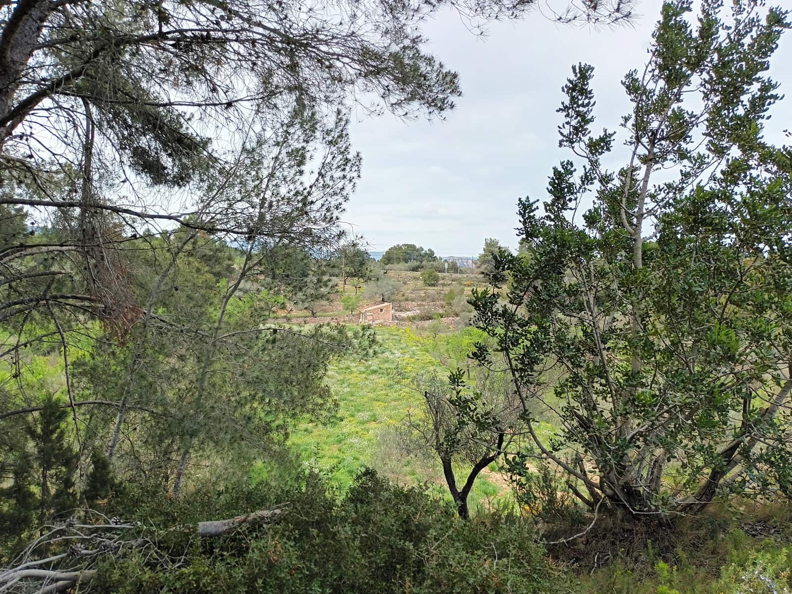 Finca/Landehus til salg i Rasquera - € 70.000 (Ref: 6783786)