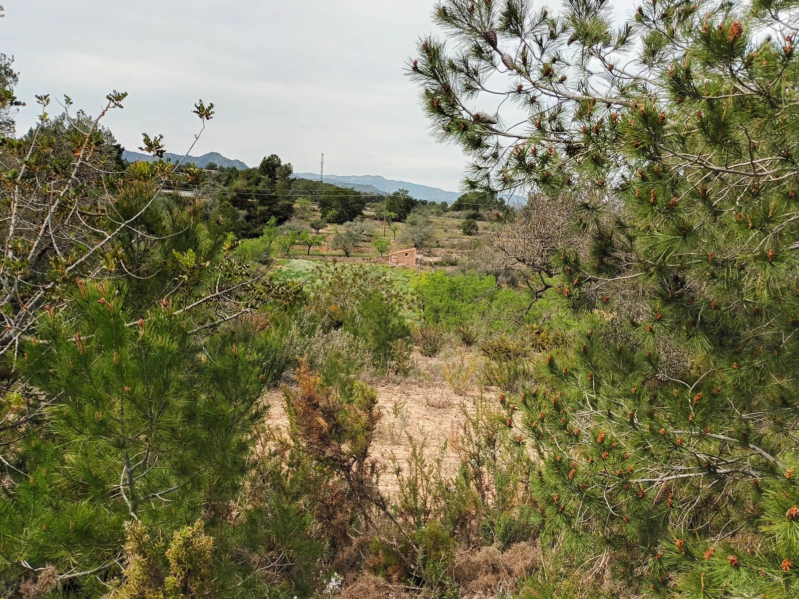 Finca/Landehus til salg i Rasquera - € 70.000 (Ref: 6783786)