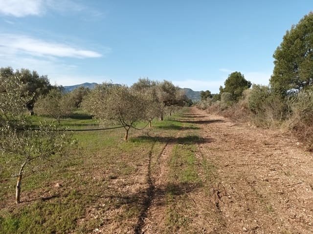 Finca/Country House for sale in Ginestar - € 29,000 (Ref: 6783787)