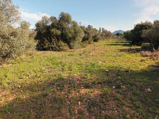 Finca/Country House for sale in Ginestar - € 29,000 (Ref: 6783787)