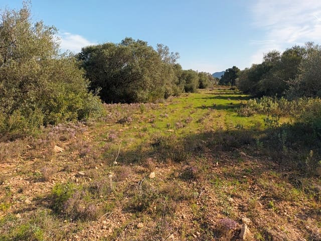 Finca/Country House for sale in Ginestar - € 29,000 (Ref: 6783787)