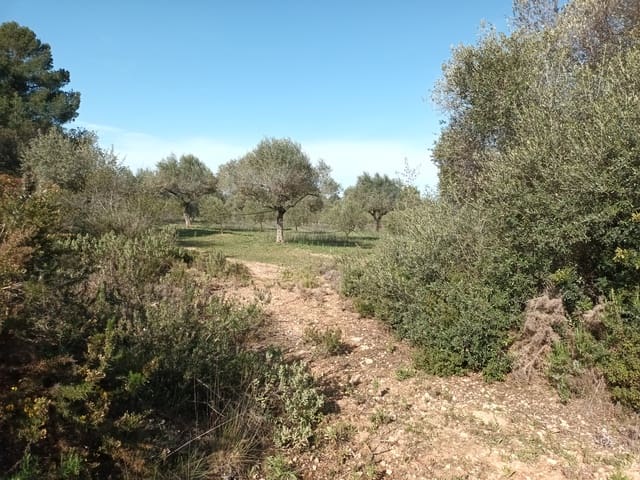 Finca/Country House for sale in Ginestar - € 29,000 (Ref: 6783787)
